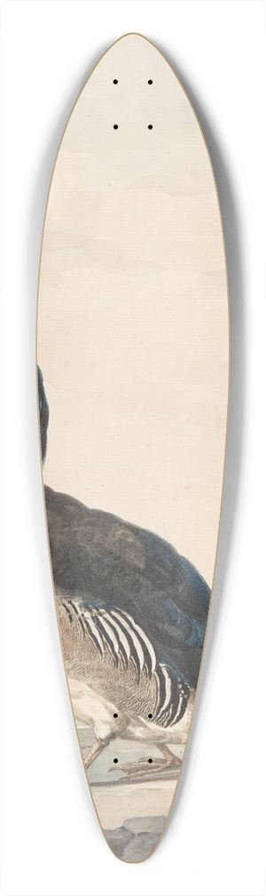 Aert Schouman - A Duck 39.3 inch art pintail longboard deck
