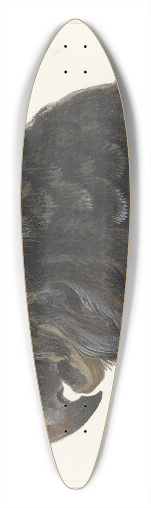 Aert Schouman - Head of a Cockatoo 39.3 inch art pintail longboard deck