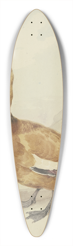 Aert Schouman - Two red ducks 39.3 inch art pintail longboard deck