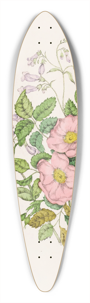 Agnes Fitzgibbon - Early Wild Rose, Pentstmon Beard-Tongue 39.3 inch art pintail longboard deck