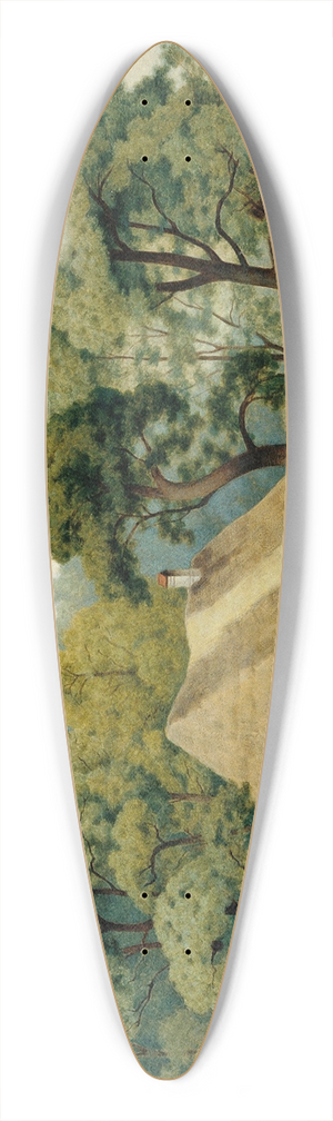 Albert Stangl - Bauernhaus 39.3 inch art pintail longboard deck