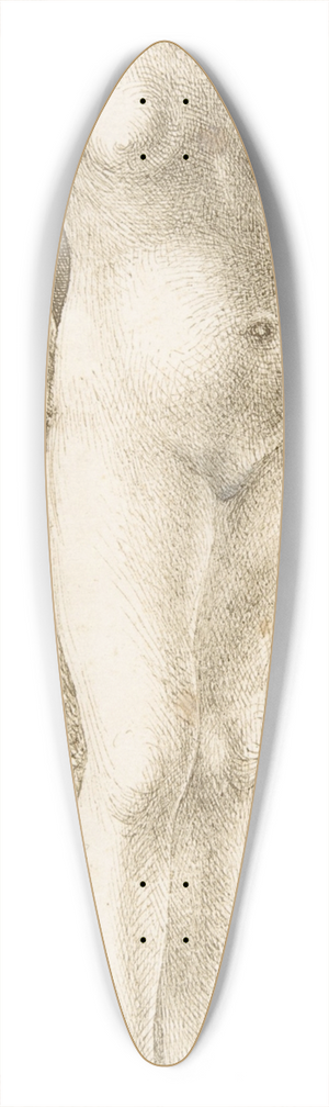 Albrecht Drer - Fortuna in a Niche 39.3 inch art pintail longboard deck
