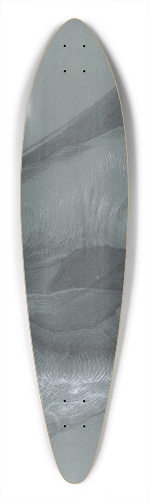 Albrecht Drer - Study of Two Feet 39.3 inch art pintail longboard deck