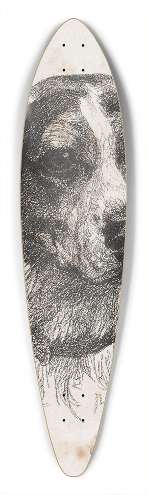 Alexander Blom - Et hundehoved 39.3 inch art pintail longboard deck