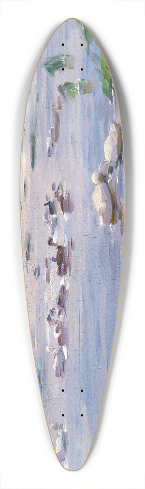 Alexander Koester - Ducks on the Lakeside 39.3 inch art pintail longboard deck