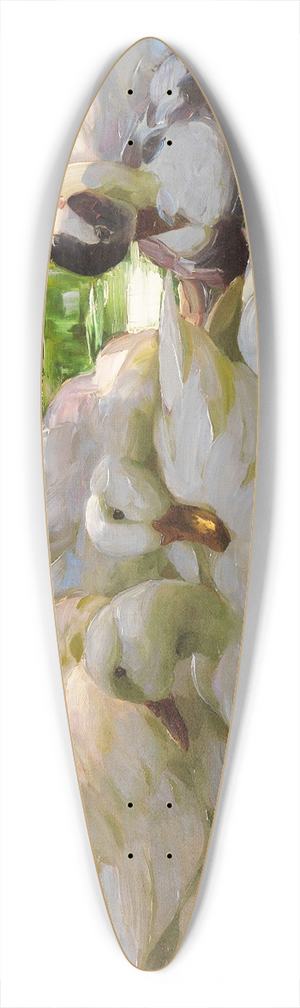 Alexander Koester - Enten am Ufer 39.3 inch art pintail longboard deck