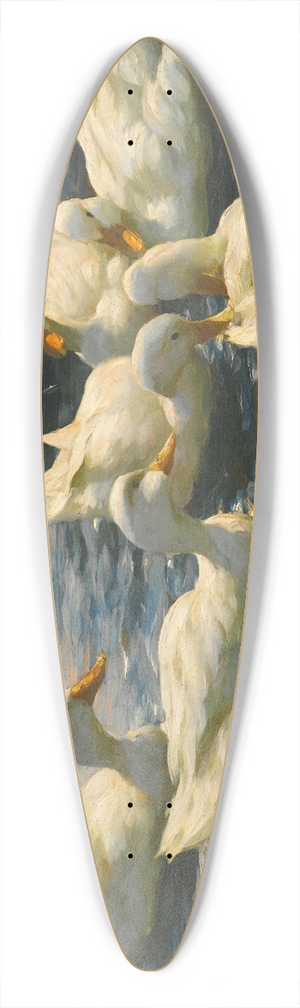 Alexander Koester - Six Ducks 39.3 inch art pintail longboard deck