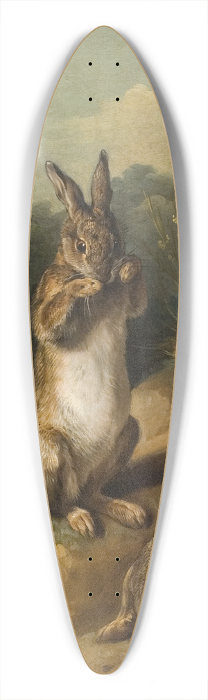 Alexandre Franois Desportes - Rabbits 39.3 inch art pintail longboard deck