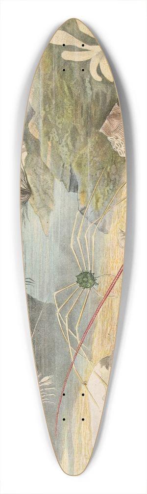 Alfred Frdol - Crustacs 39.3 inch art pintail longboard deck Alfred Frdol - Crustacs 39.3 inch art pintail longboard deck