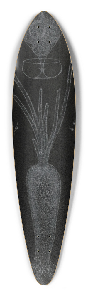 Alfred Frdol - Dveloppement des Algues 39.3 inch art pintail longboard deck