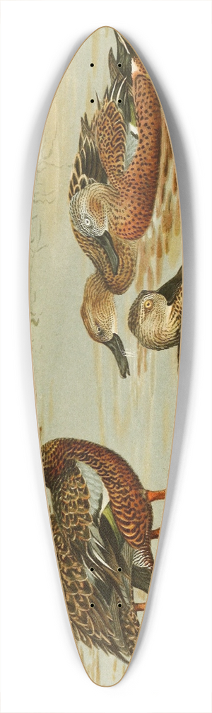 Allan Brooks - Australian Shoveller, South African Shoveller, Red Shoveller 39.3 inch art pintail longboard deck
