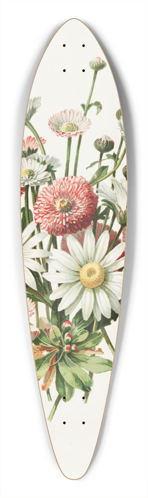 Alois Lunzer - Daisies 39.3 inch art pintail longboard deck
