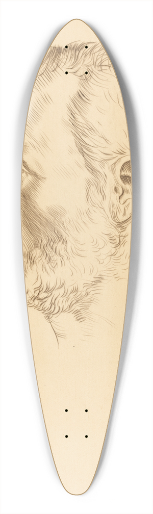Alphonse Legros - Head of a Man (Tete dhomme) III 39.3 inch art pintail longboard deck