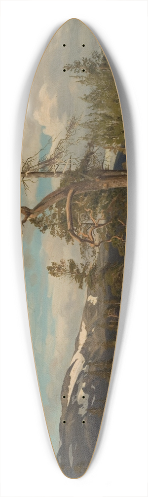 Amaldus Nielsen - verst i Setesdal 39.3 inch art pintail longboard deck