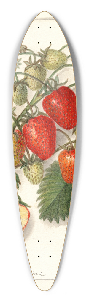 Amanda Almira Newton - Fragaria: Berlin 39.3 inch art pintail longboard deck