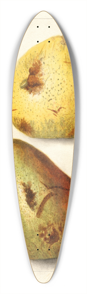 Amanda Almira Newton - Pyrus communis 39.3 inch art pintail longboard deck