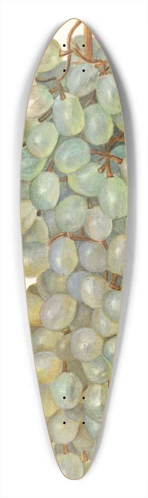 Amanda Almira Newton - Vitis: Almeria 39.3 inch art pintail longboard deck