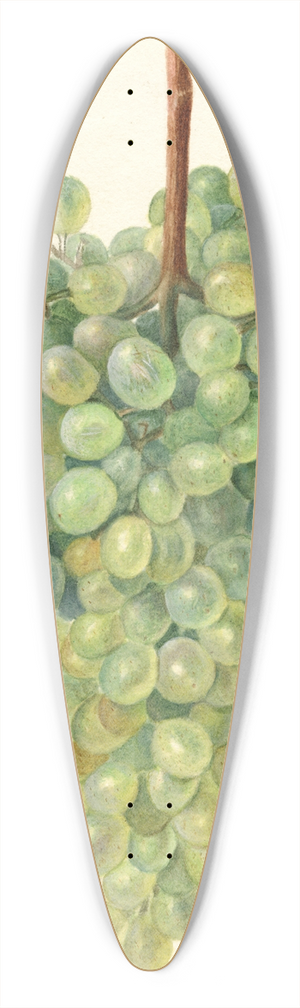 Amanda Almira Newton - Vitis: Clarette a Gros Grains 39.3 inch art pintail longboard deck
