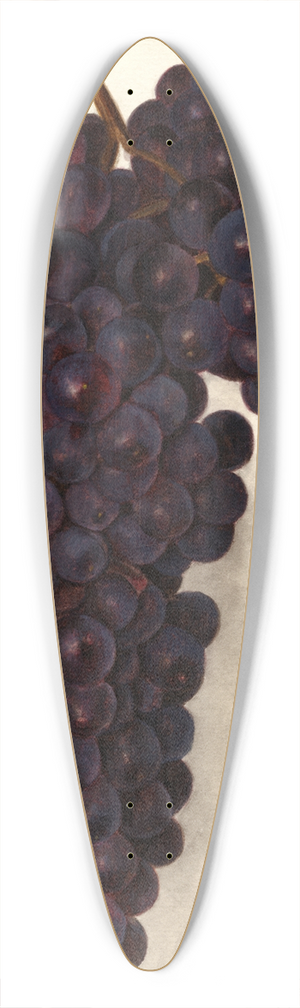 Amanda Almira Newton - Vitis: Malvasia Rosario 39.3 inch art pintail longboard deck