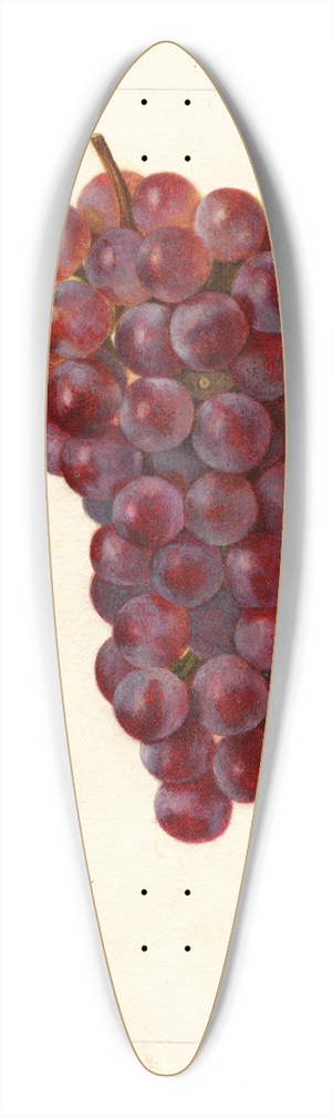 Amanda Almira Newton - Vitis: No 39.3 inch art pintail longboard deck