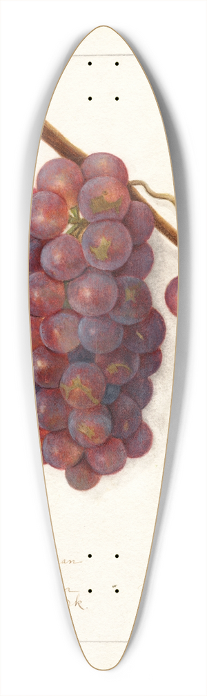 Amanda Almira Newton - Vitis: No 39.3 inch art pintail longboard deck