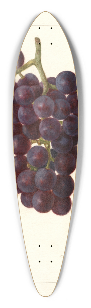 Amanda Almira Newton - Vitis: Sunrise 39.3 inch art pintail longboard deck