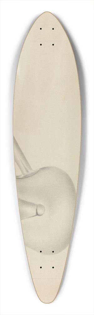 Amelia Tuccio - Silver Pipkin 39.3 inch art pintail longboard deck