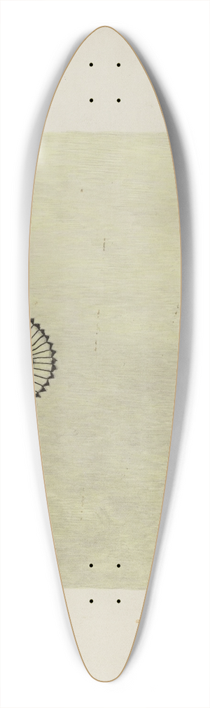 American 20th Century - Blanket 39.3 inch art pintail longboard deck