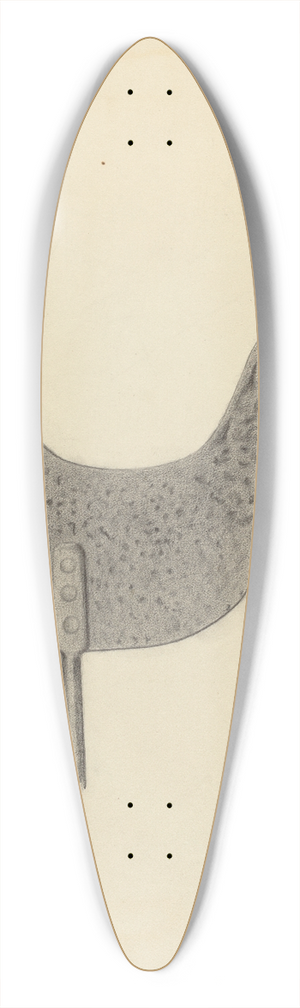 American 20th Century - Weather Vane 39.3 inch art pintail longboard deck