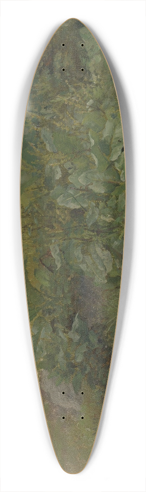 Anders Askevold - Landscape Study 39.3 inch art pintail longboard deck