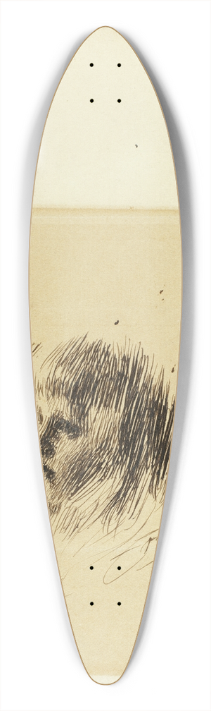 Anders Zorn - Head of a Girl 39.3 inch art pintail longboard deck