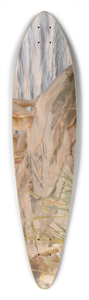 Anders Zorn - Outdoors 39.3 inch art pintail longboard deck