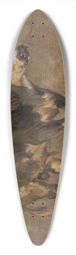 Andre Plumot - Bull 39.3 inch art pintail longboard deck