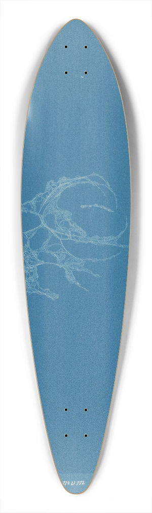 Anna Atkins - Batrachospermum alpestre 39.3 inch art pintail longboard deck