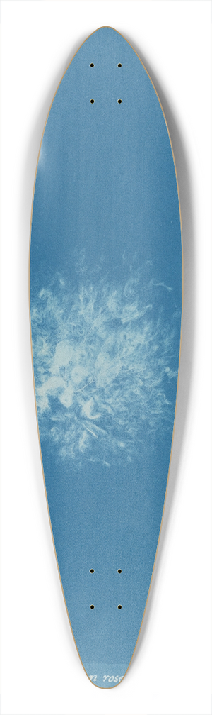 Anna Atkins - Callithamnion roseum 39.3 inch art pintail longboard deck