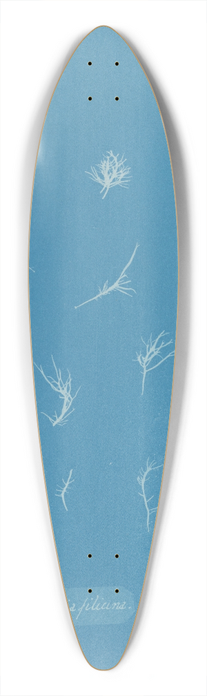 Anna Atkins - Grateloupia filicina 39.3 inch art pintail longboard deck