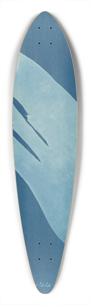 Anna Atkins - Laminaria digitata 39.3 inch art pintail longboard deck