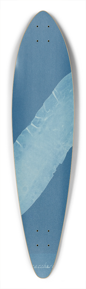 Anna Atkins - Laminaria saccharina 39.3 inch art pintail longboard deck