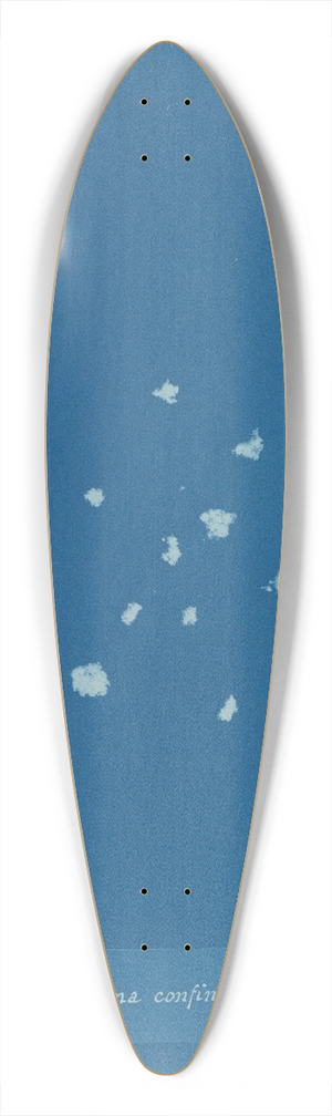 Anna Atkins - Lichina confinis 39.3 inch art pintail longboard deck