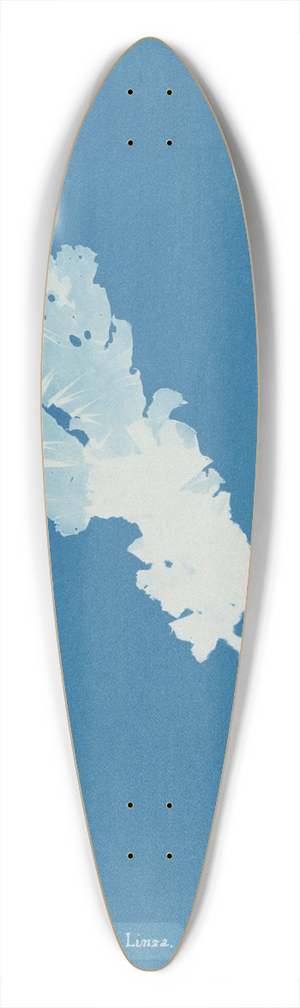 Anna Atkins - Ulva Linza 39.3 inch art pintail longboard deck
