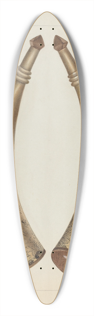 Annie B. Johnston - Powder Horn 39.3 inch art pintail longboard deck