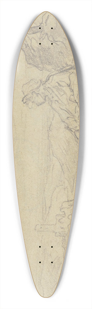 Anton Burger - View on Falkenstein 39.3 inch art pintail longboard deck