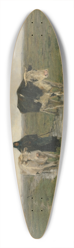 Anton Mauve - Changing Pasture 39.3 inch art pintail longboard deck