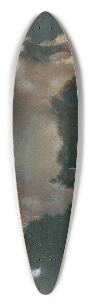 Anton Schrdl - Ziege 39.3 inch art pintail longboard deck