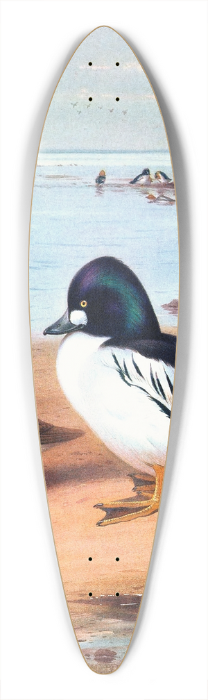 Archibald Thorburn - Golden-Eye 39.3 inch art pintail longboard deck