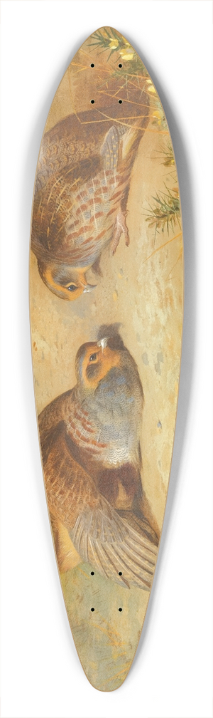 Archibald Thorburn - Grey Partridge 39.3 inch art pintail longboard deck