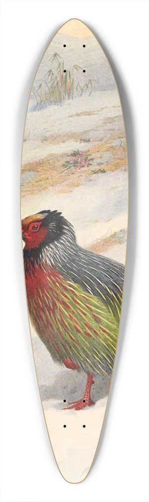Archibald Thorburn - Kusers Blood Partridge 39.3 inch art pintail longboard deck