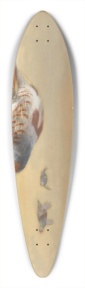 Archibald Thorburn - Partridge In Flight 39.3 inch art pintail longboard deck