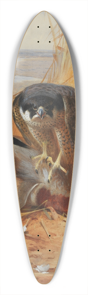Archibald Thorburn - Peregrine falcon and mallard duck on a sandbank 39.3 inch art pintail longboard deck