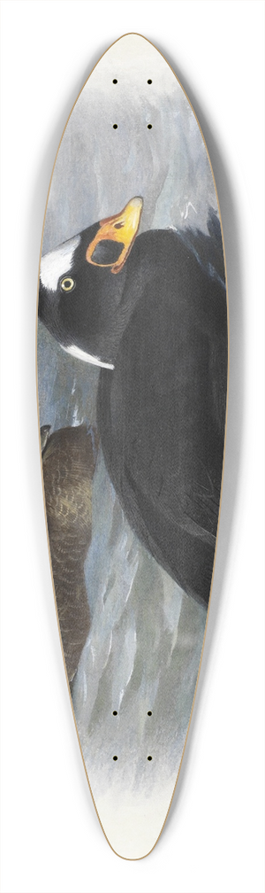 Archibald Thorburn - Surf Scoter 39.3 inch art pintail longboard deck